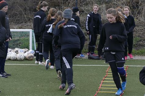 Msv Training Tsv Heimaterde