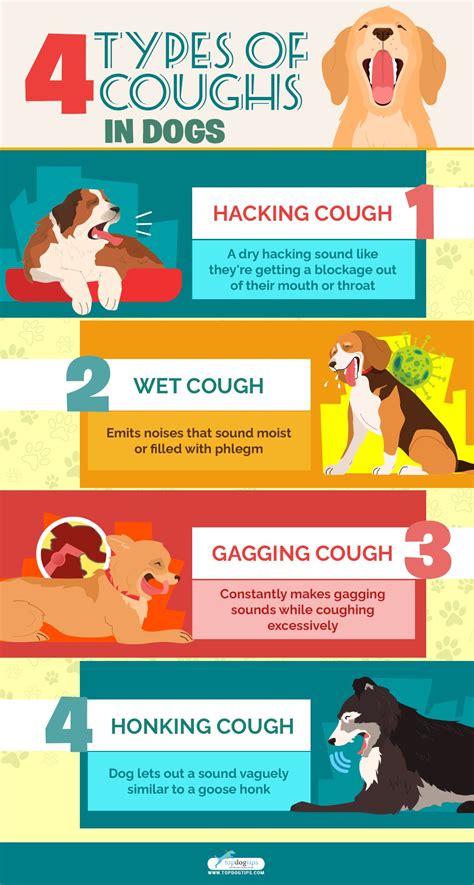 Dog Coughing and Gagging? What It Means & What You Can Do