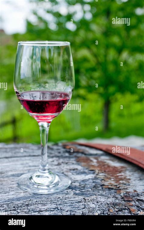 Glass Of Red Wine Stock Photo Alamy