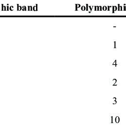 The Distribution Of Monomorphic And Polymorphic Bands Generated By The