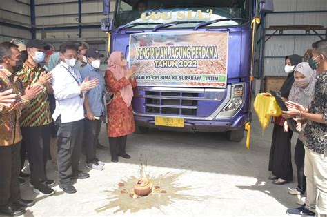 Stabilisasi Harga Jagung Kementan Dan Pemda Bima Kirim Jagung 2 600