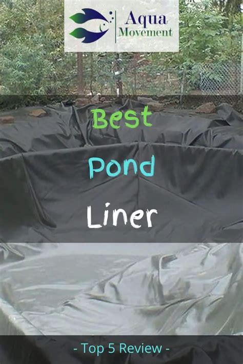 Best Pond Liners For Small And Large Ponds Aqua Movement