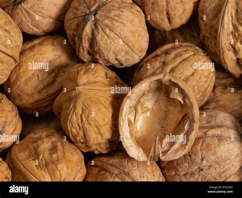 Full Frame Walnut Background And Open Nutshell Stock Photo Alamy