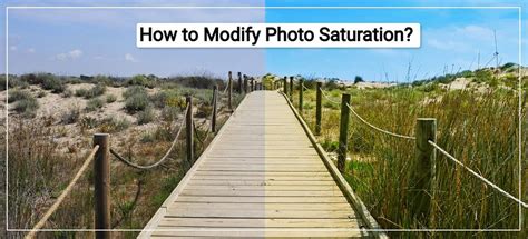 What is saturation in photography? - Renee Robyn