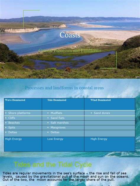 Coastal Landforms | PDF | Tide | Coast