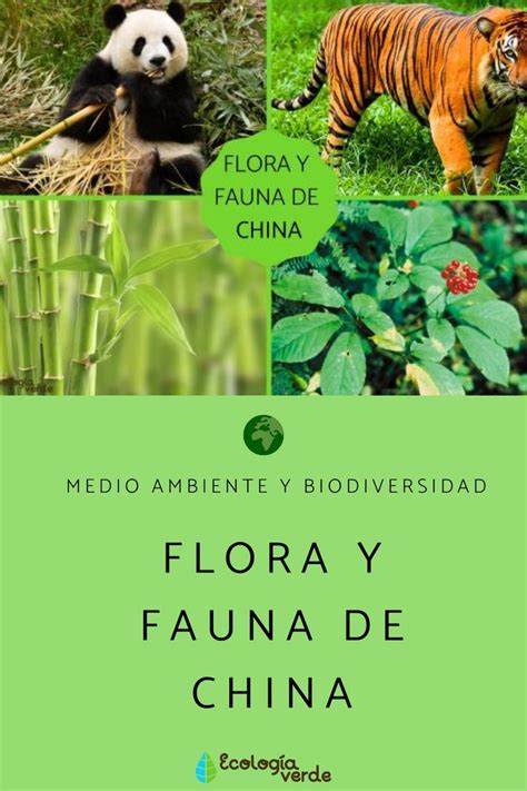 Flora Y Fauna Artofit