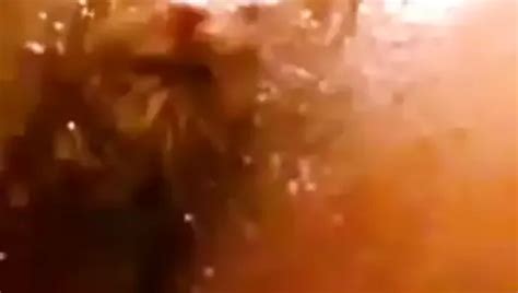 Free Feeding Time Porn Videos Xhamster