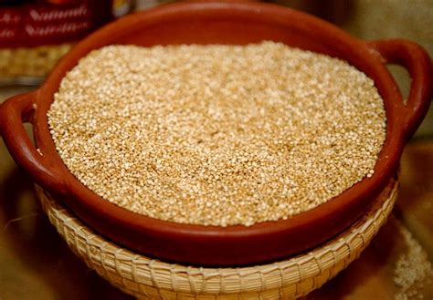 Quinoa Un Cereal Sus Beneficios Y Sus Propiedades