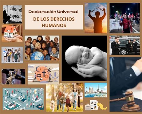 Collage En Derechos Humanos Vida Esencial Ppt