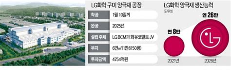 Lg화학 화유코발트와 국내최대 양극재 공장 한국경제