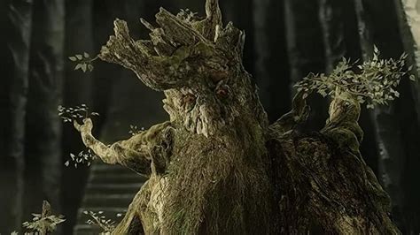 Treebeard Wallpapers Top Free Treebeard Backgrounds Wallpaperaccess