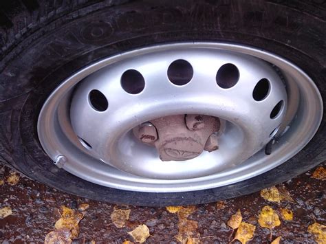 Шины Нордман 4 на Нексию. — Daewoo Nexia (N150), 1,5 л, 2012 года ...