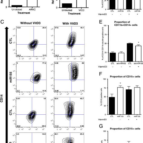 Mir 155 Expression In Aml Samples And Normal Haematopoietic Cells A