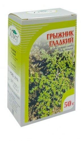 Трава грыжник — купить по низкой цене на Яндекс Маркете