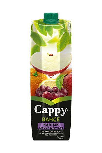 Cappy Meyve Suyu 1 Lt Karısık 1