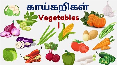 கயகறகளன பயரகள Lets Learn Vegetables Name in Tamil and English