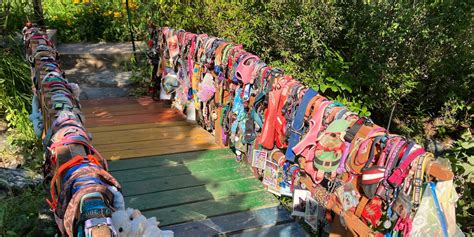 Leave Your Pet Memorial At The Real Rainbow Bridge In Lake Lure