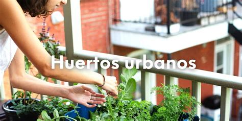 Gu A Completa De Materiales Para Hacer Un Huerto Urbano Descubre Todo