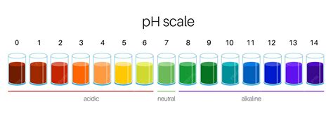 premium vector ph scale diagram