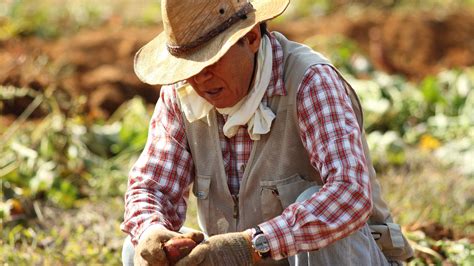 Importancia De Las Buenas Prácticas Agrícolas Bpa Biolaf