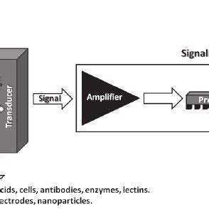 Schematic diagram of a biosensor. A biosensor consists of a bioreceptor ...