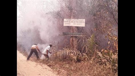 Concepci N Brigadas Controlan El Fuego En R O Blanco El Estado Digital