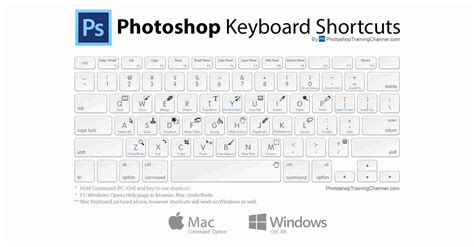 Photoshop Keyboard Shortcuts Cheat Sheet 5280 Hot Sex Picture