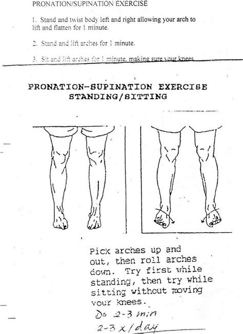 Tibialis Posterior Exercises The Green Girl S Exercises For Posterior