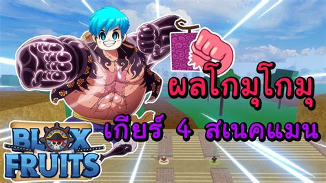 Blox Fruits เกียร์4ลูฟี่โครดเทพ ต่อยทีเลือดครึ่งรอด Roblox Youtube