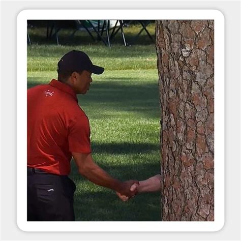 Tiger Tree Meme Tiger Woods Sticker Teepublic