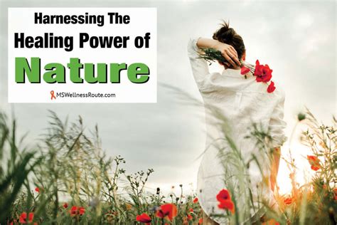 Harnessing The Healing Power Of Nature Ms Wellness Route