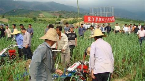 2018年農業補貼又出新花樣了，這幾類農民一分錢也領不到！ 每日頭條