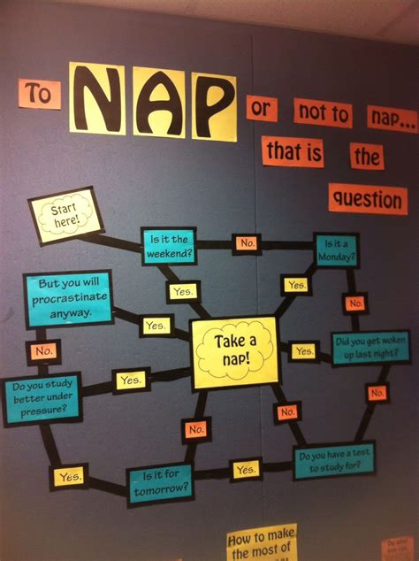 Here Is A Fun Bulletin Board Diagram About Naps And When You Should