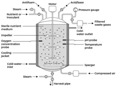 Maximizing Bioreactor Efficiency With Simulation