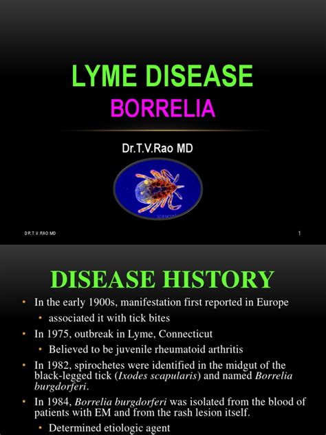 Lyme Disease Borrelia Pdf Lyme Disease Animal Diseases