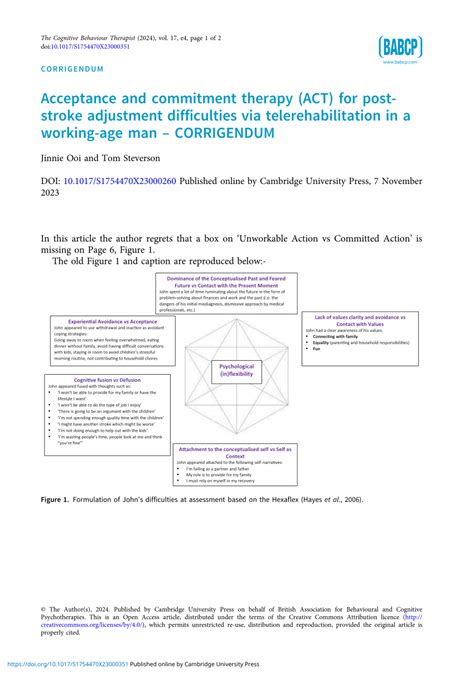 PDF Acceptance And Commitment Therapy ACT For Post Stroke