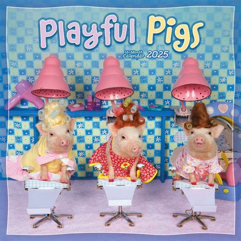 Pigs Playful Wall Calendar Calendars