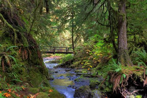 Olympic National Park HDR Mike Criss Flickr