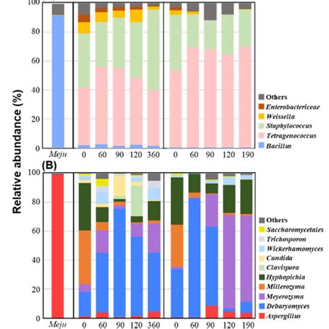 Taxonomic Classification Of The Bacterial 16s Rrna And Fungal Its2