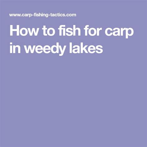 How To Fish For Carp In Weedy Lakes Carp Fish Lake