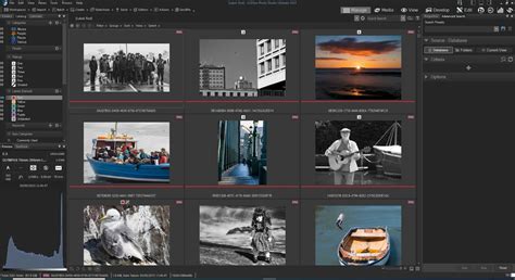 ACDSee Photo Studio Ultimate 2023 In Use A Step By Step Workflow