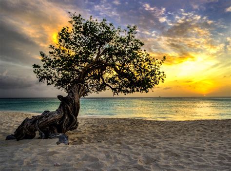 Aruba Sunset 2283 X 1692 Oc Rsunset