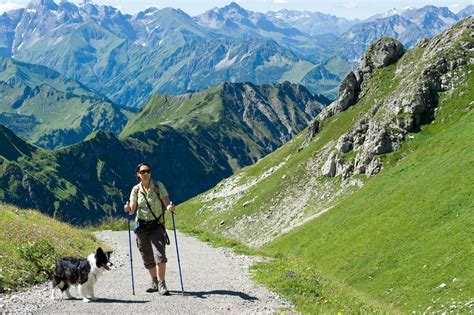 Tage S Dtirol Inkl Halbpension Hundearrangement