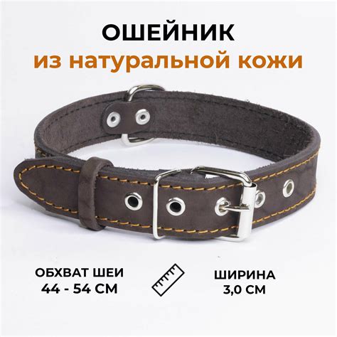 Ошейники для собак Collar из лаковой кожи двойные с декором из страз ...