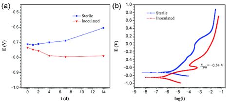 The Value Of Ocp And The Potentiodynamic Polarization Curves A