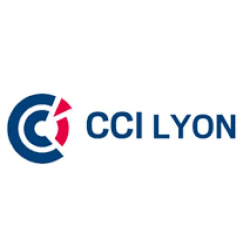 Cci Lyon M Tropole Saint Etienne Roanne Synercom France