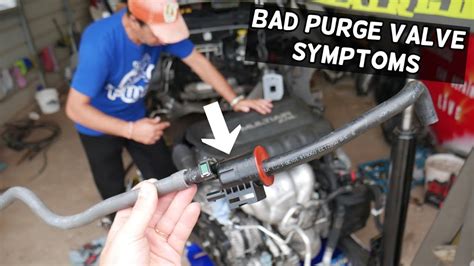 How To Tell If Your Evap Purge Valve Is Bad At Paul Poteat Blog