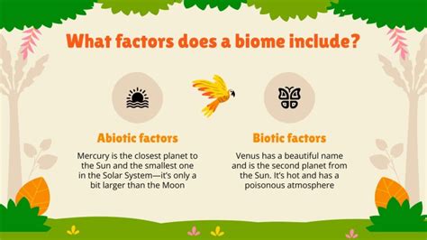 Science Subject For Elementary Rainforest Biome Ecosystem