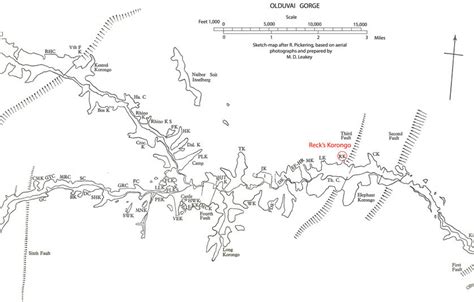 Map of Olduvai Gorge showing the location of the Olduvai Hominid 1 ...