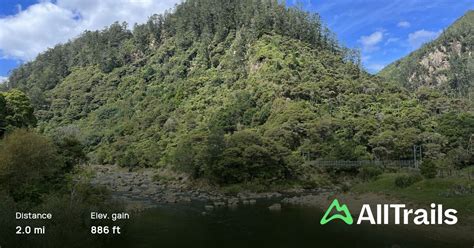 Karangahake Old Railway Tunnel Loop Waikato New Zealand 551 Reviews